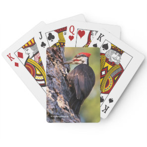 Beautiful Pileated Woodpecker on the Tree Poker Cards