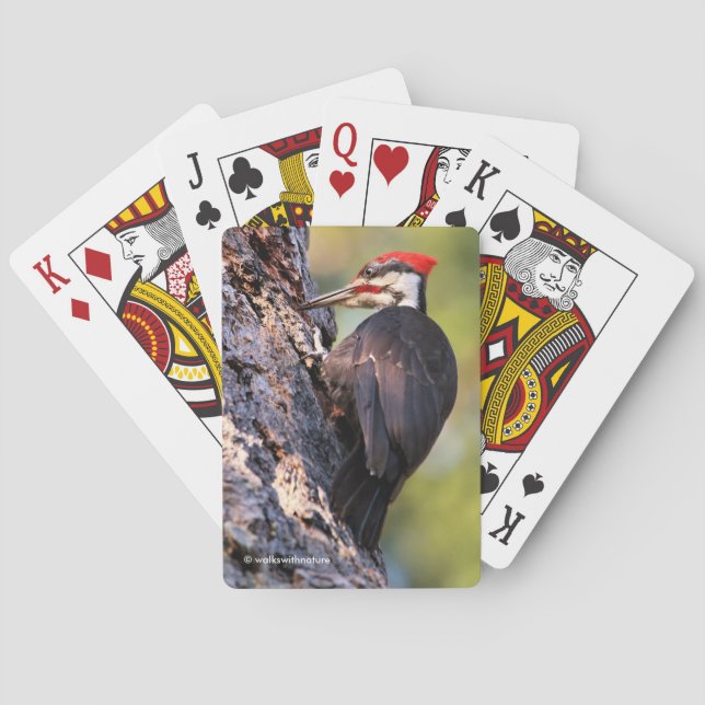 Beautiful Pileated Woodpecker on the Tree Poker Cards (Back)