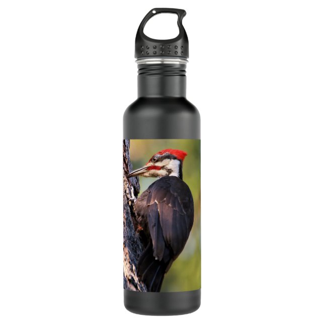 Beautiful Pileated Woodpecker on the Tree Stainless Steel Water Bottle (Front)