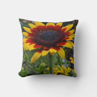 Beautiful pillow cover