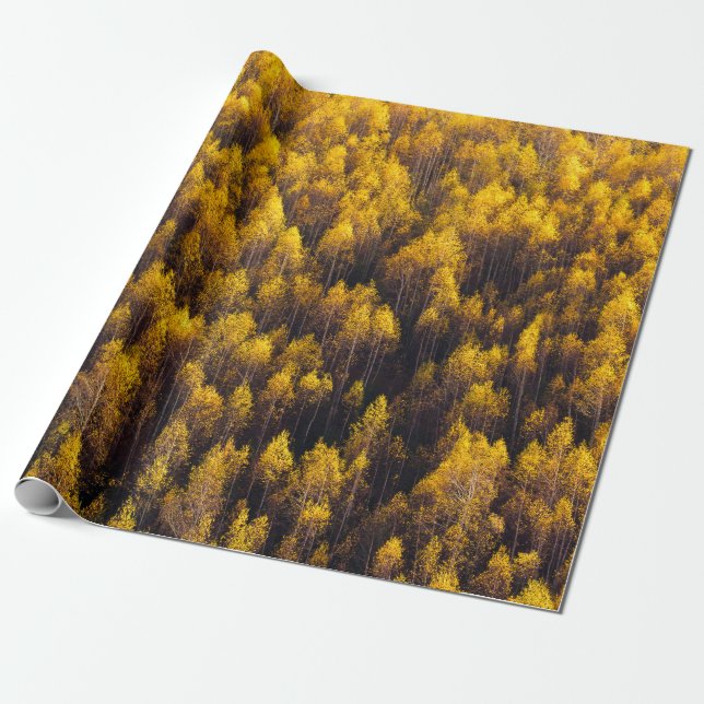 BEAUTIFUL PINE TREE FOREST WRAPPING PAPER (Unrolled)
