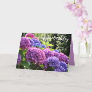 Beautiful Pink and Blue Hydrangea Flowers Card