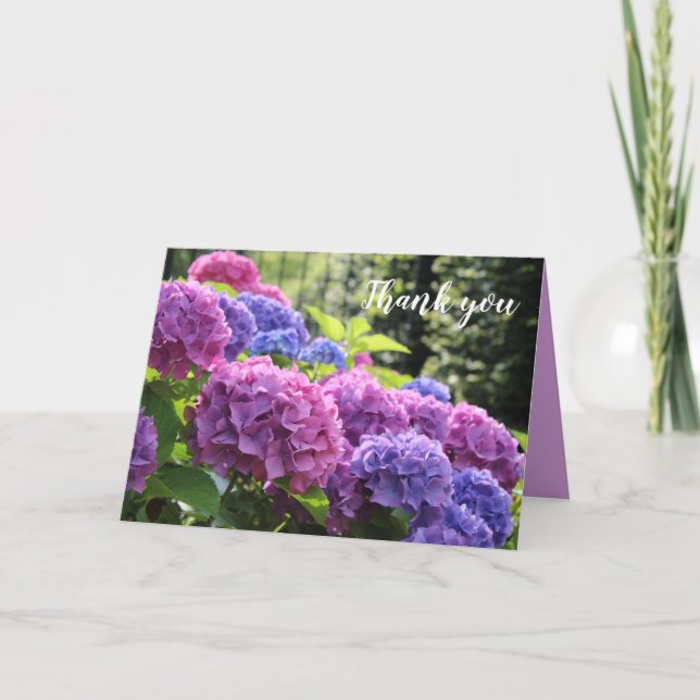 Beautiful Pink and Blue Hydrangea Flowers Thank You Card (Front)