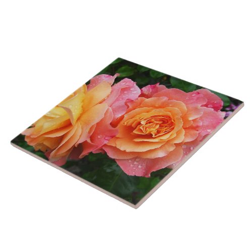 Beautiful pink and orannge rose photo ceramic tile