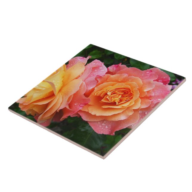 Beautiful pink and orannge rose photo ceramic tile (Side)