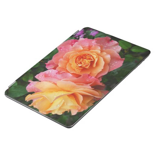 Beautiful pink and orannge rose photo iPad air cover