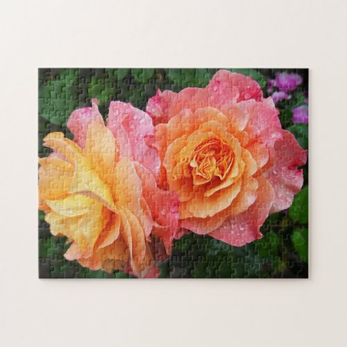 Beautiful pink and orannge rose photo jigsaw puzzle