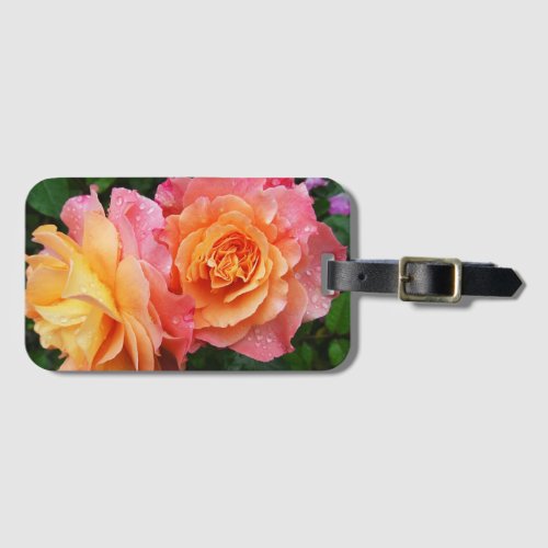 Beautiful pink and orannge rose photo luggage tag