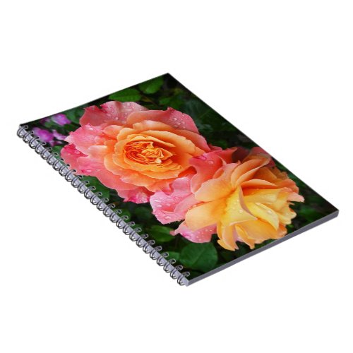 Beautiful pink and orannge rose photo notebook