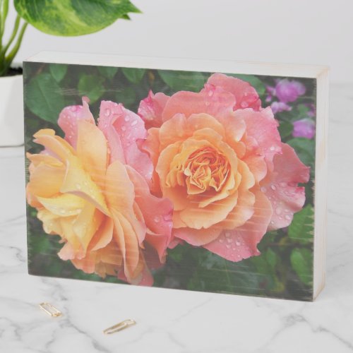 Beautiful pink and orannge rose photo wooden box sign