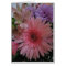 Beautiful Pink and Purple Flowers Blank