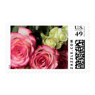 Beautiful Pink And White Rose Postage Stamps