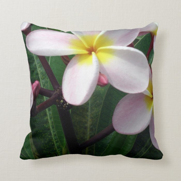 Beautiful Pink and Yellow Plumeria Pillow