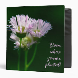 Beautiful pink asters wildflower photography  3 ring binder