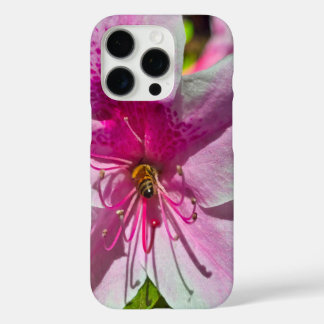 beautiful pink azalea flowers at Descanso Gardens iPhone 16 Pro Case