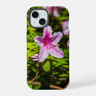 beautiful pink azalea flowers at Descanso Gardens  iPhone 15 Case