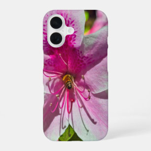 beautiful pink azalea flowers at Descanso Gardens  iPhone 16 Case