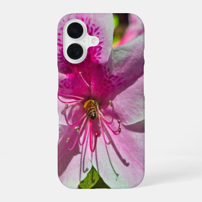 beautiful pink azalea flowers at Descanso Gardens  iPhone Case (Back)