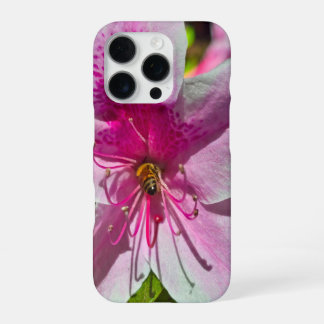 beautiful pink azalea flowers at Descanso Gardens iPhone 16 Pro Case