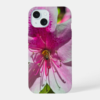 beautiful pink azalea flowers at Descanso Gardens iPhone 15 Case
