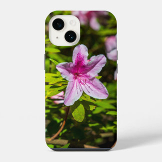 beautiful pink azalea flowers at Descanso Gardens  iPhone 14 Case