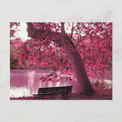 Beautiful Pink blooms everywhere Postcard