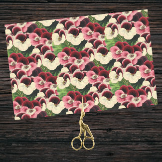 Beautiful Pink Burgundy Cream Geranium Botanical 