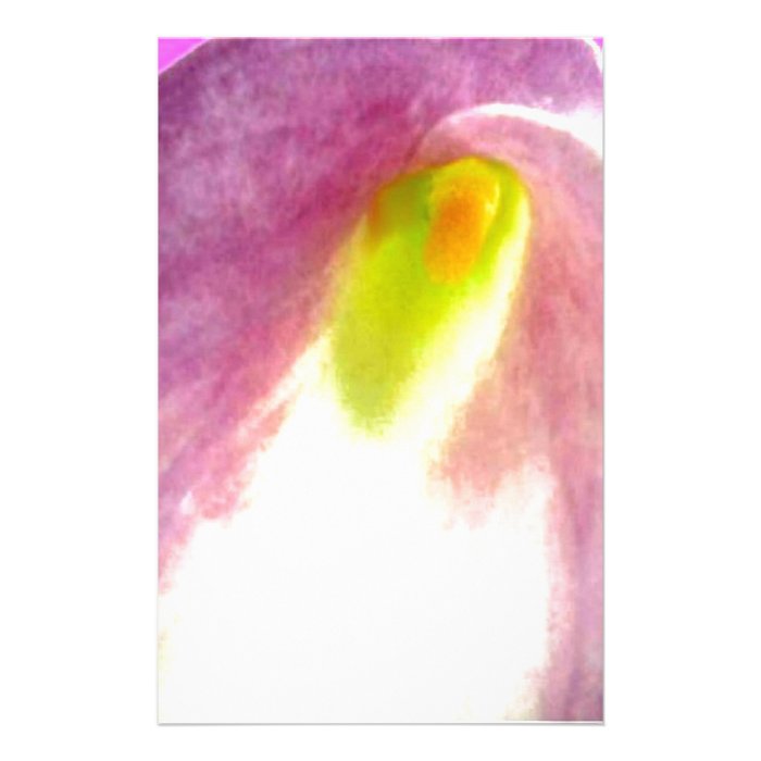 Beautiful pink calla lily flower close up view stationery paper