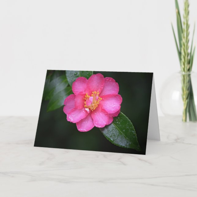 Beautiful Pink Camellia Flower After a Rain Card (Front)