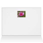 Beautiful Pink Cosmos Flower Cards (Inside Horizontal (Top))