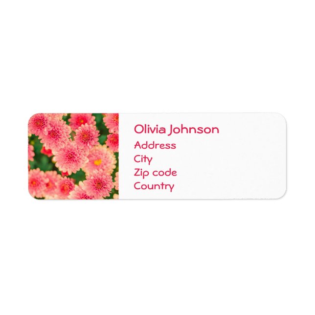 Beautiful Pink Dahlias Flowers Label (Front)