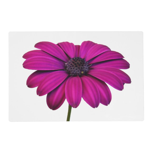 Beautiful Pink Daisy Placemat (Front)
