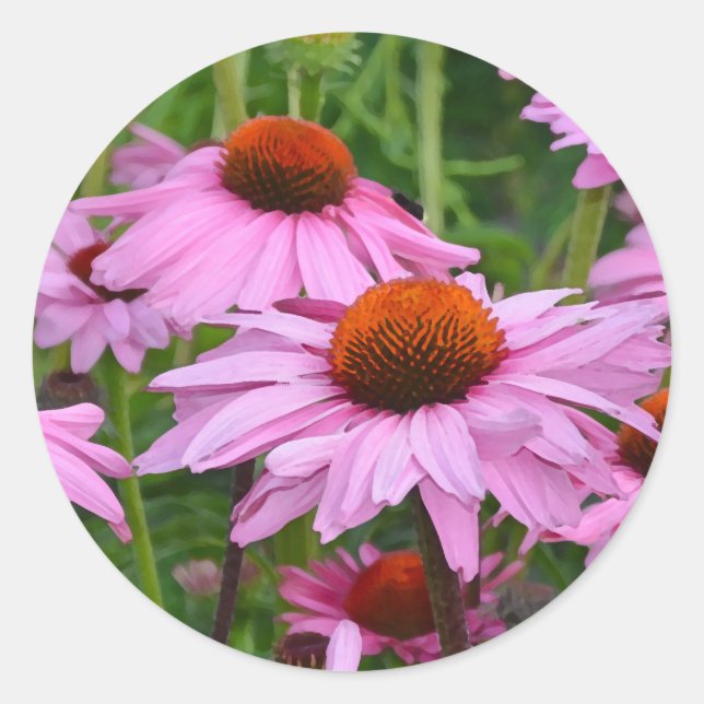 Beautiful pink echinacea floral print classic round sticker (Front)