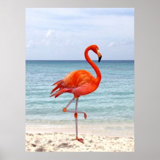 Beautiful Pink Flamingo Bird on the Beach