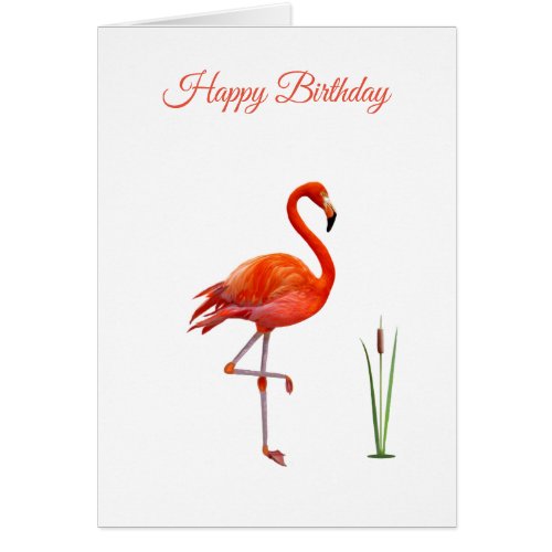 Beautiful Pink Flamingo Birthday Card