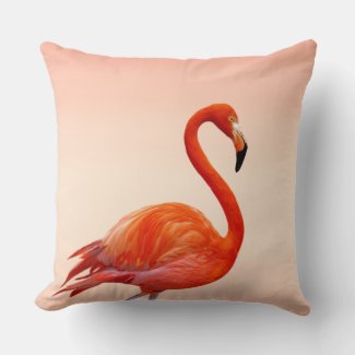 Beautiful Pink Flamingo on Light Coral