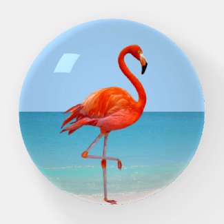 Beautiful Pink Flamingo on the Beach Paperweight