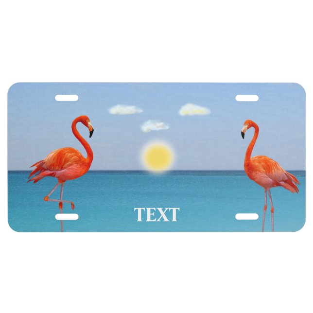 Beautiful Pink Flamingos on Light Blue License Pla Plate (Front)