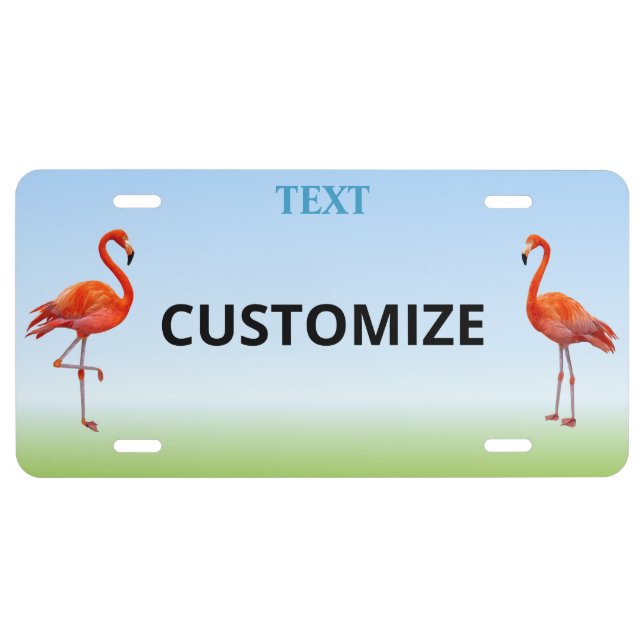 Beautiful Pink Flamingos on Light Blue License Plate (Front)