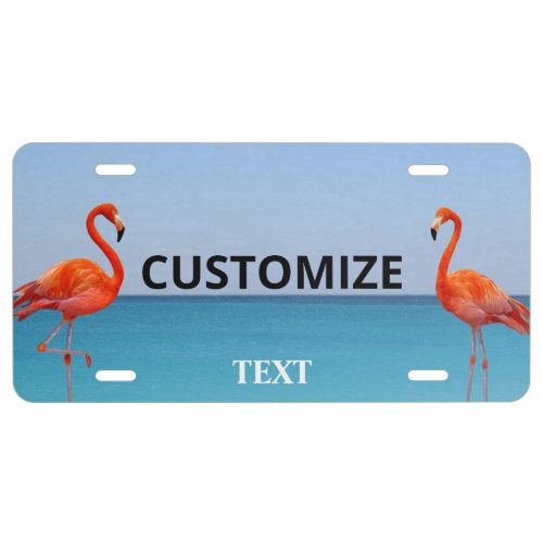 Beautiful Pink Flamingos on Light Blue License Plate