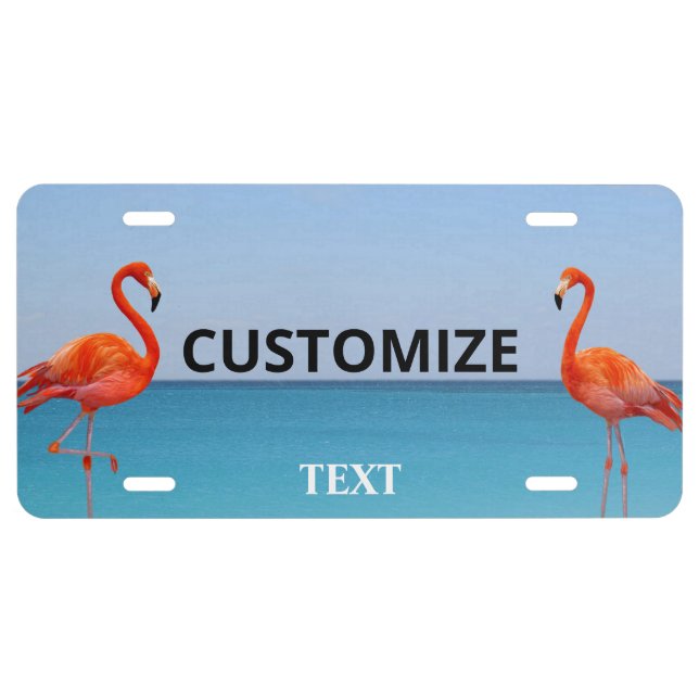 Beautiful Pink Flamingos on Light Blue License Plate (Front)