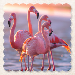 Beautiful Pink Flamingos Tropical Paper Coaster