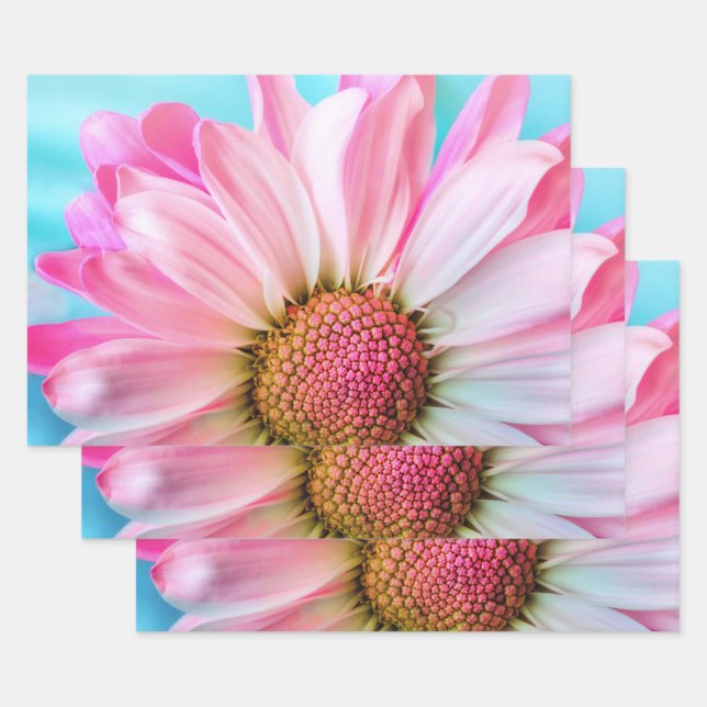 Beautiful Pink Flower Close Up Photo Wrapping Paper Sheets (Set)