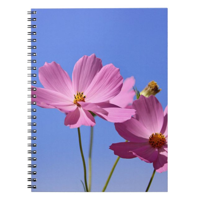 beautiful pink flowers hugging a clear blue sky notebook (Front)