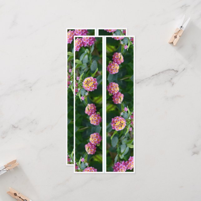 Beautiful Pink Flowers Two Bookmarks (Front/Back In Situ)
