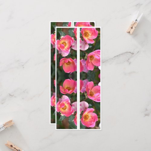 Beautiful Pink Flowers Two Bookmarks