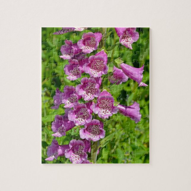 Beautiful pink foxglove flowers jigsaw puzzle (Vertical)