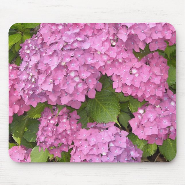 Beautiful Pink Hydrangeas Mouse Pad (Front)
