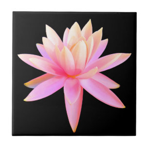 Beautiful Pink Lily Lotus Fine Art Ceramic Tile
