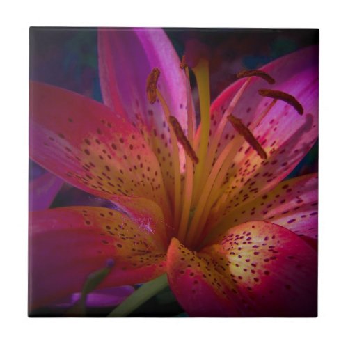 Beautiful Pink Lily Tile